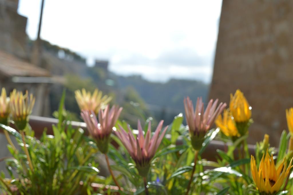 Apartament Casa Dei Lavatoi Pitigliano Zewnętrze zdjęcie